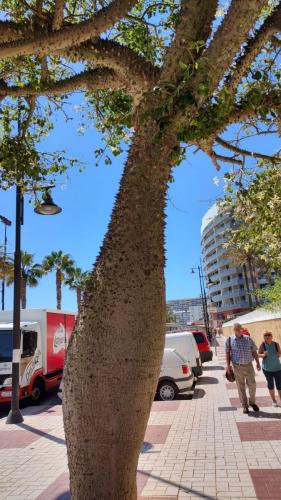 IMG_20220908_143044953_HDR