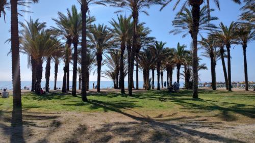 IMG_20230501_122600709_HDR